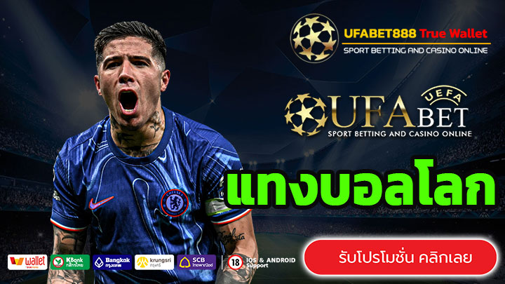 แทงบอลโลก